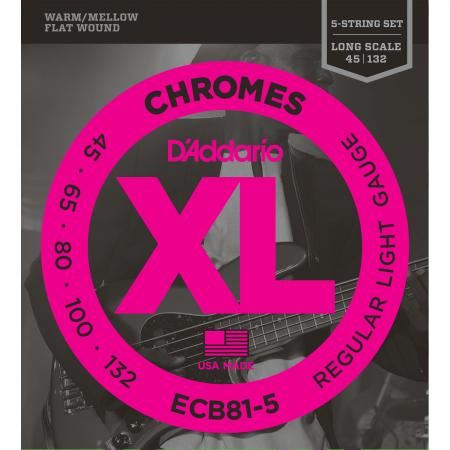 D'Addario ECB81-5