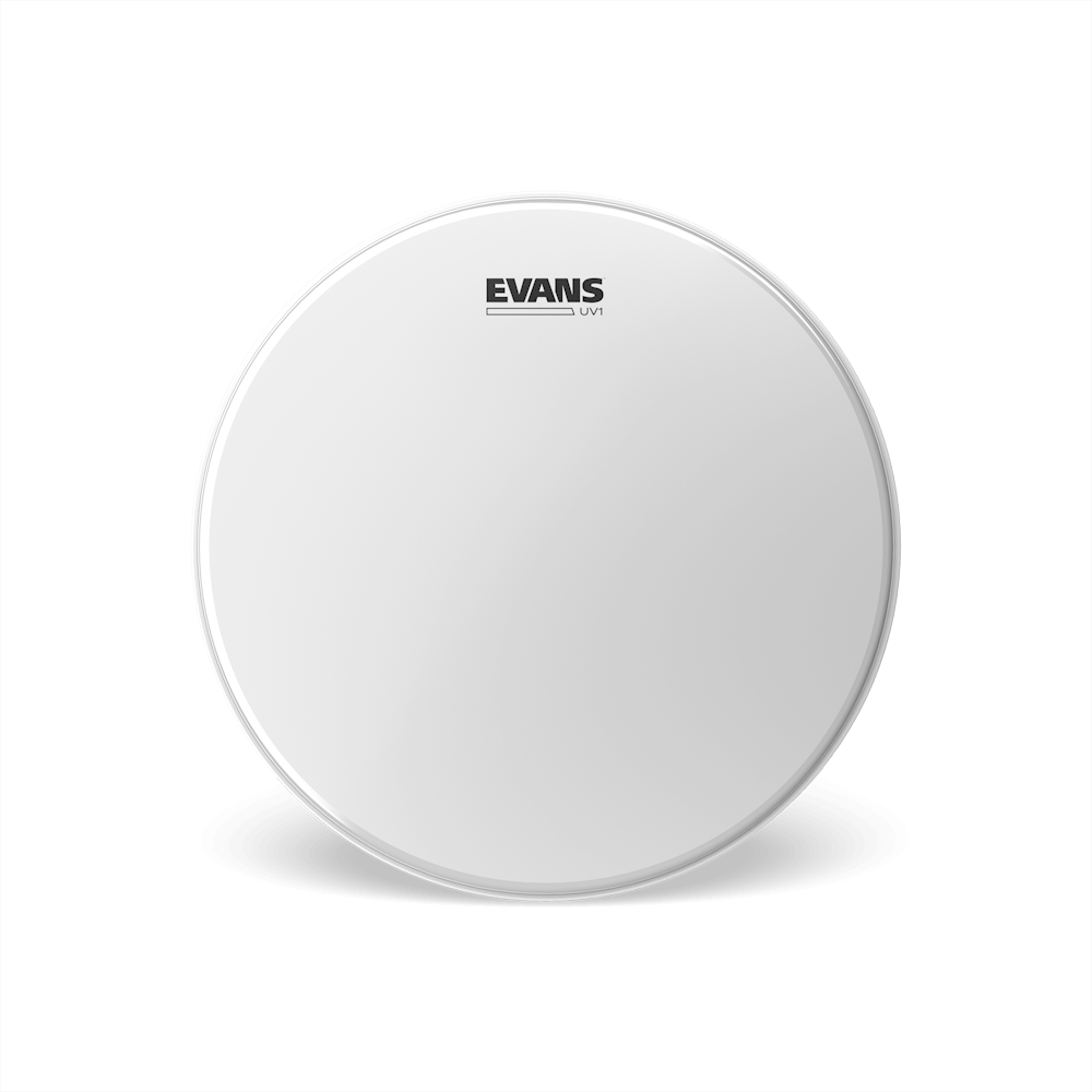 Evans 12" UV1 Coated, B12UV1