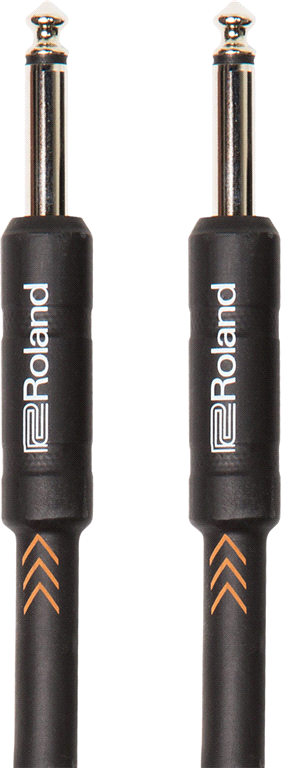 Roland RIC-B10