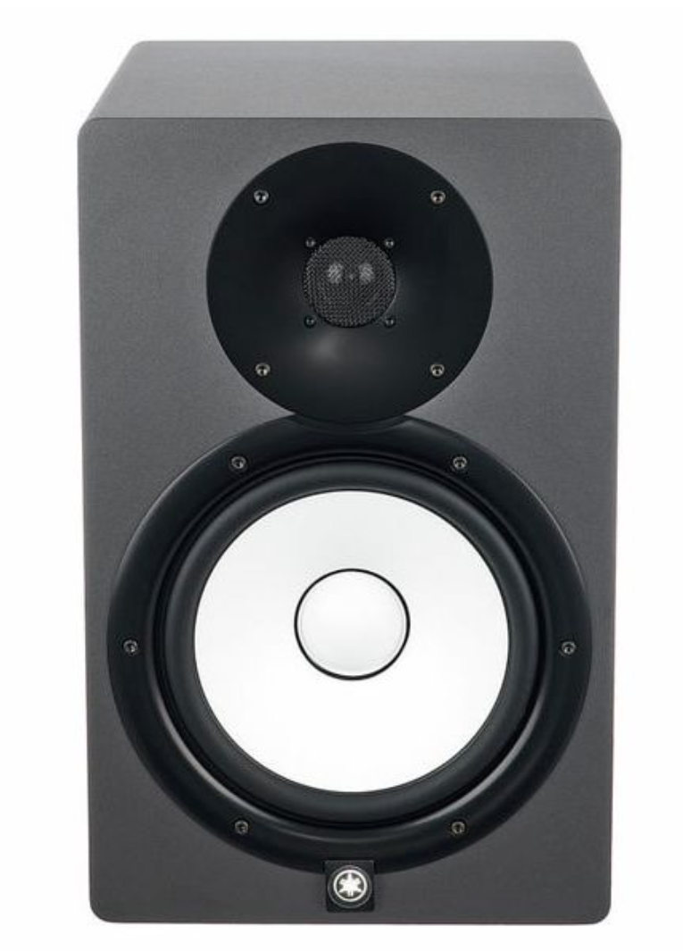 Yamaha HS8 SG