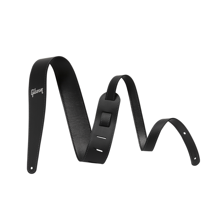 Gibson Adam Jones 1979 afbeelding