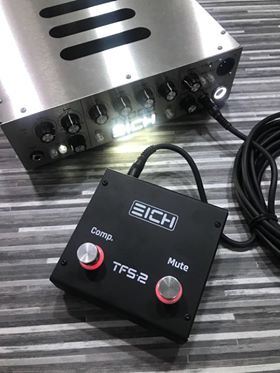 Eich Amps TFS-2