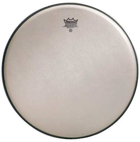 Remo 10" Ambassador Renaissance, RA-0010-SS