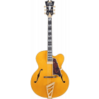 D'angelico Excel EXL-1 Amber