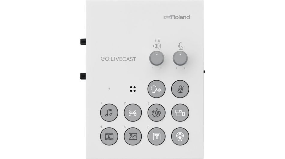 Roland GO:Livecast