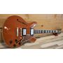 D'angelico Deluxe Mini DC Limited Edition Rust