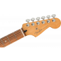 Fender Player Plus Stratocaster, Opal Spark PF
