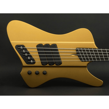 Dingwall LTD D-Roc Standard 5 Gold Matte