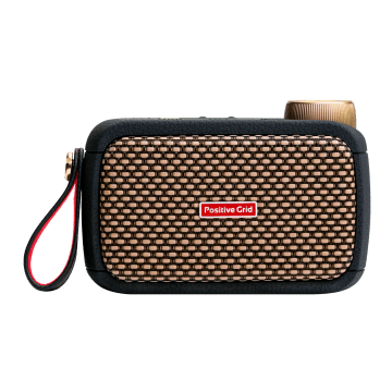 Positive Grid Spark Go