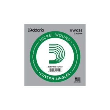 D'Addario NW038