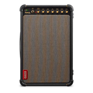 Positive Grid Spark Live