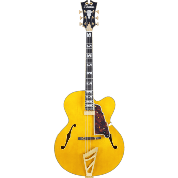 D'angelico Excel EXL-1 Amber