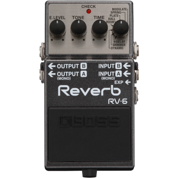 Boss RV-6