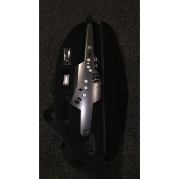 Roland AE-10G (B-stock)