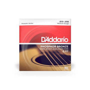D'Addario EJ17