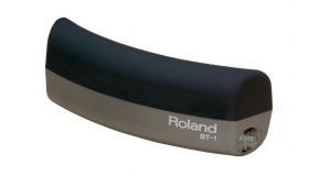Roland BT-1