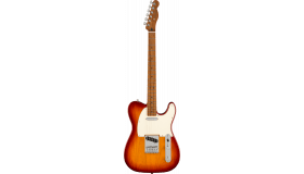 Fender LTD Player Telecaster, Sienna Sunburst Roasted Maple Fingerboard