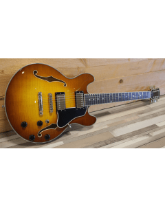 Eastman T484 Goldburst