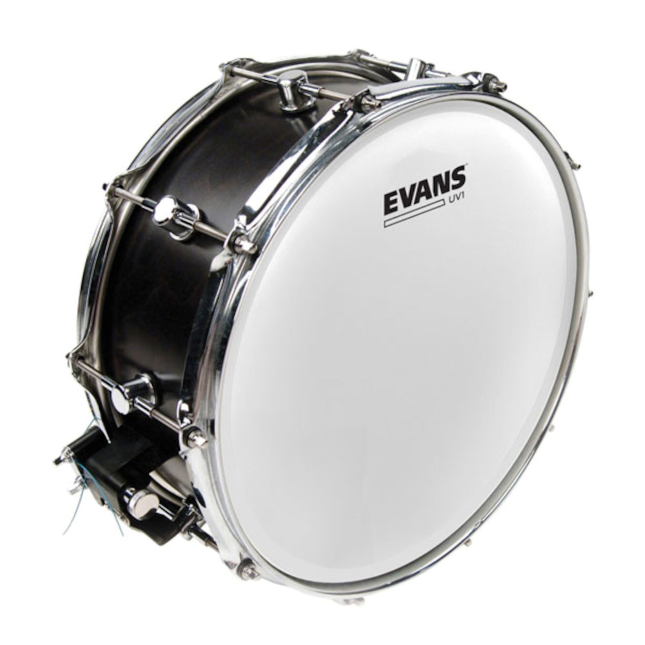 Evans B14UV1 afbeelding
