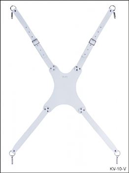 Boston KV10V afbeelding