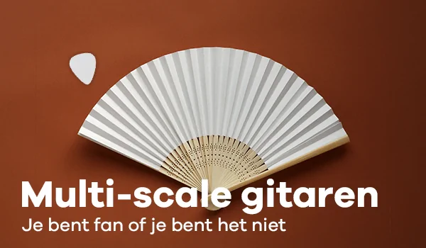 Wat is multi-scale en waar wordt het voor gebruikt?