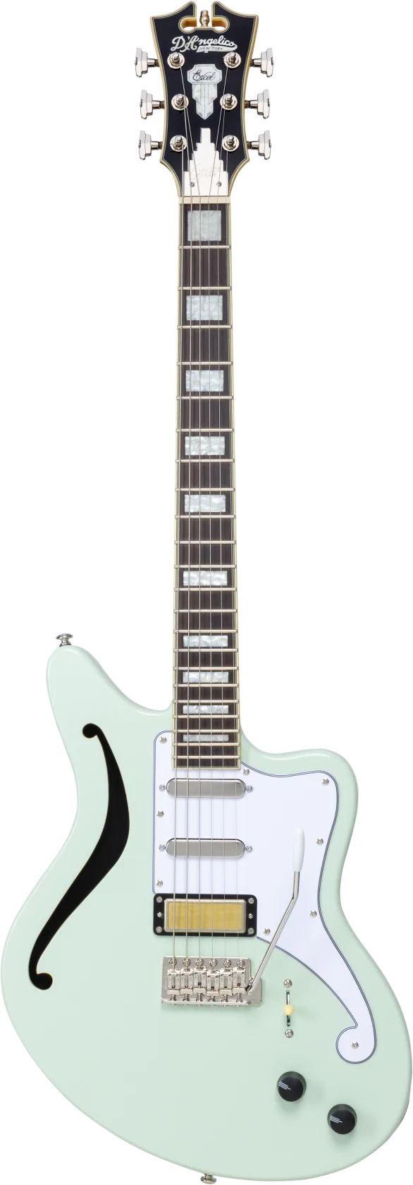 D'angelico Excel Giacomo Turra Bedford SH Tremolo