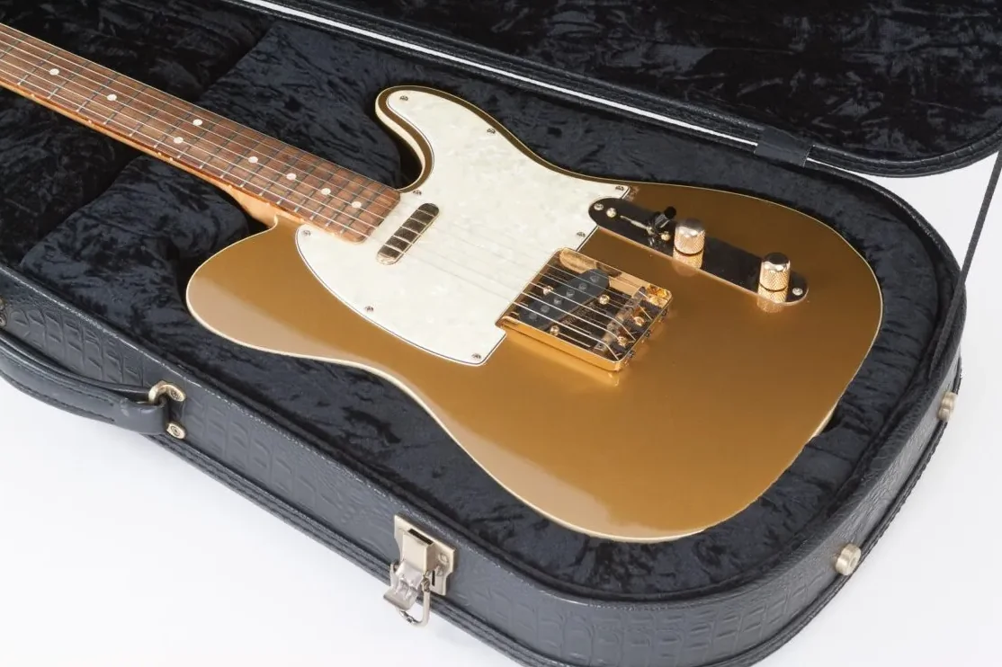 Access Stage 5 Electric Guitar Insert, Tele