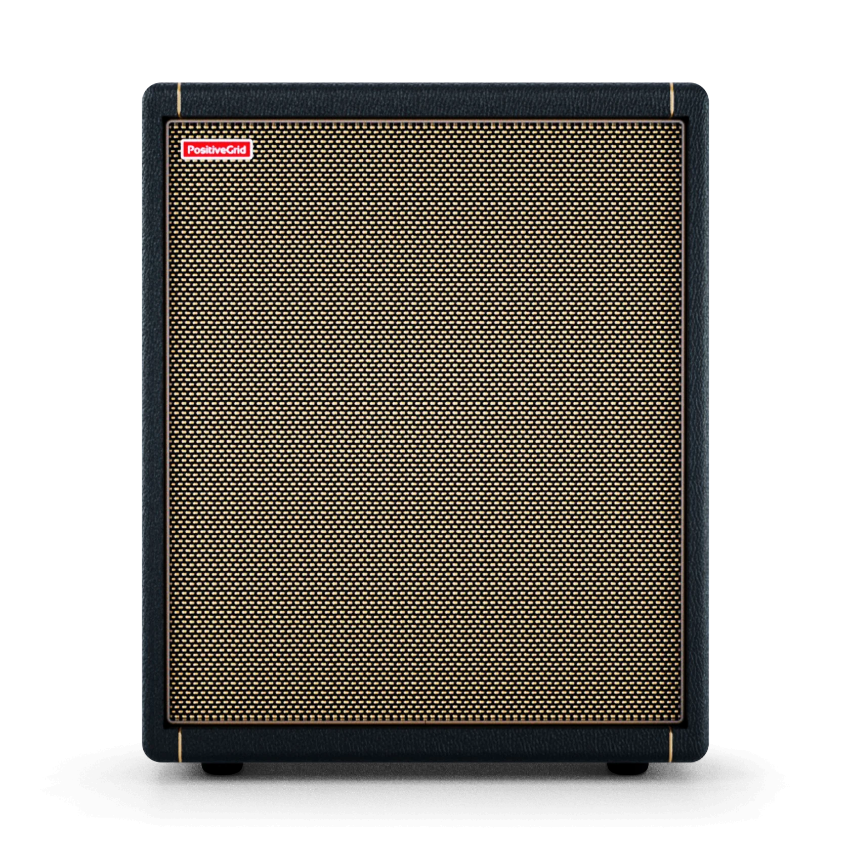 Positive Grid Spark Cab