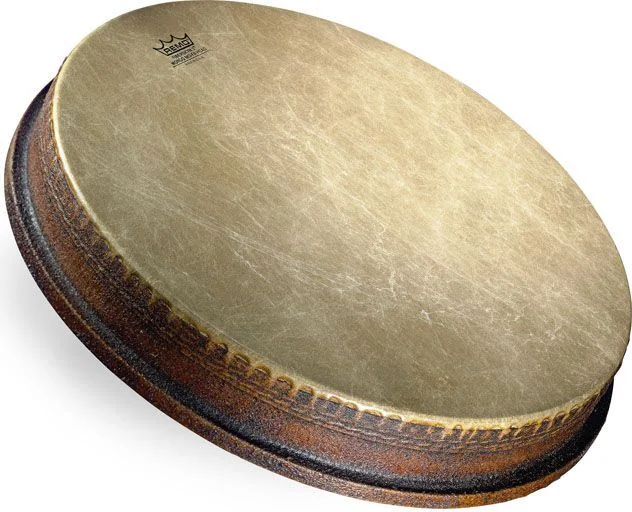 Remo MO-2516-FA