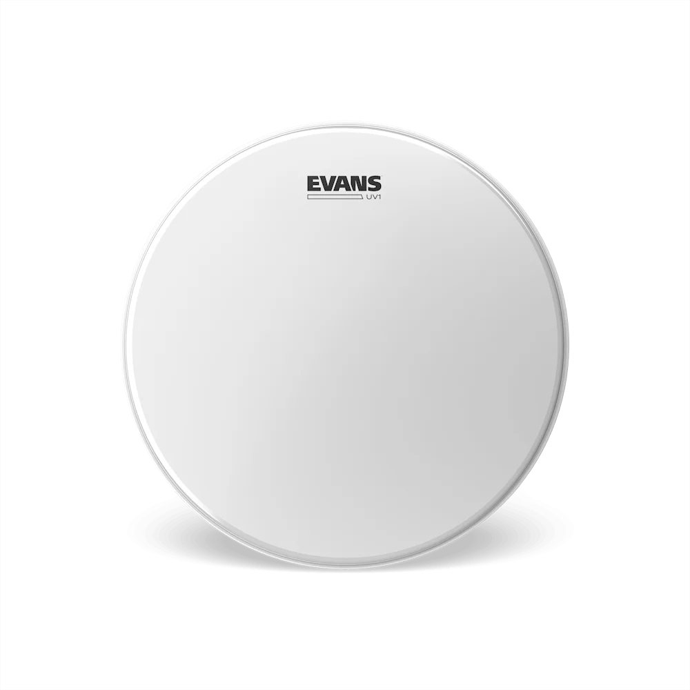 Evans 16" UV1 Coated, B16UV1