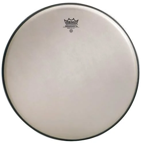Remo RA-0010-SS