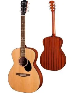 Eastman PCH1-OM