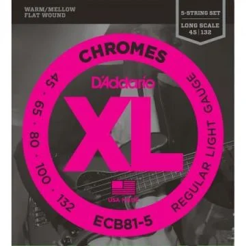 D'Addario ECB81-5 