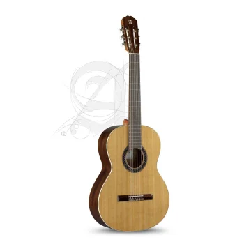 Alhambra 1C HT Hybrid Terra 7/8 incl. gigbag