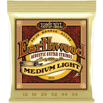 Ernie Ball Earthwood Acoustic 80/20 Medium Light 2003