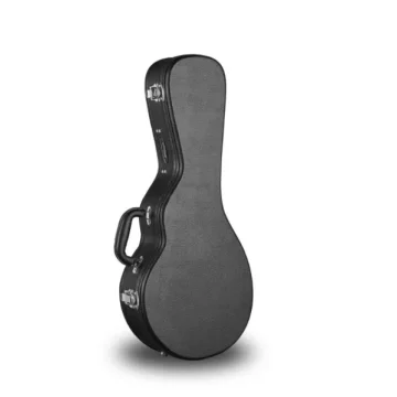 Access Stage 1 Mandolin Hard Case