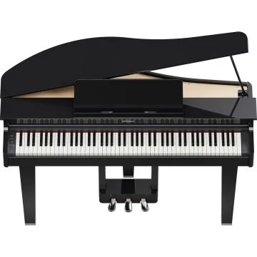Roland GP-3 PE