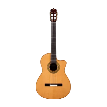 Cordoba Fusion Orchestra CE Pro