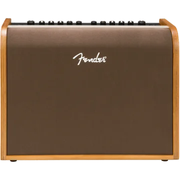 Fender Acoustic 100