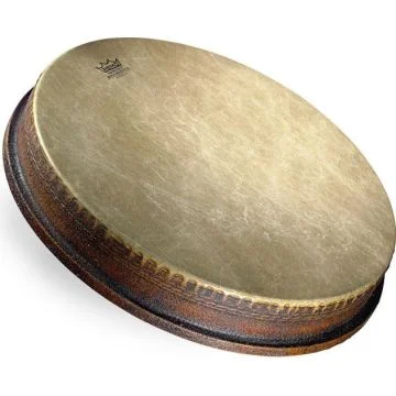 Remo MO-2516-FA
