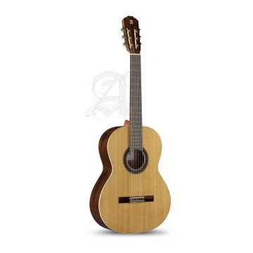 Alhambra 1C HT Hybrid Terra incl. gigbag