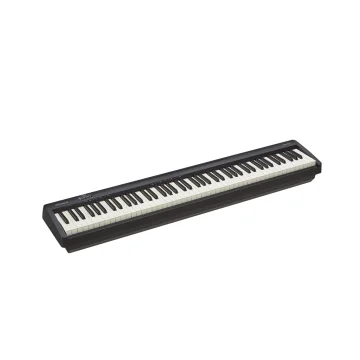 Roland FP-10 BK