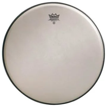 Remo RA-0010-SS