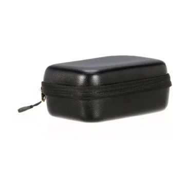 Positive Grid Spark Go Case