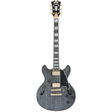 D'angelico Excel Mini DC, Black Dog
