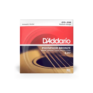 D'Addario EJ17