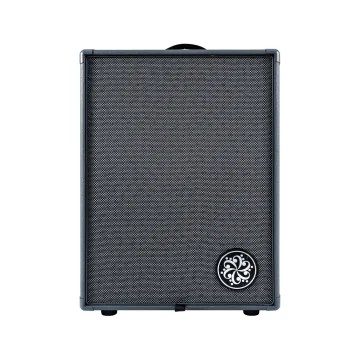 Darkglass Infinity 500 Combo 210