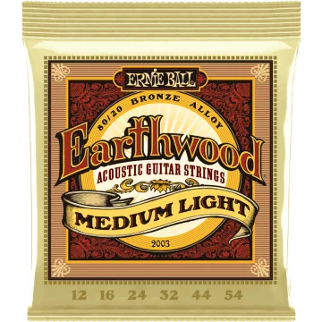 Ernie Ball Earthwood Acoustic 80/20 Medium Light 2003
