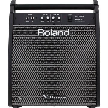 Roland PM-200