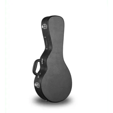 Access Stage 1 Mandolin Hard Case